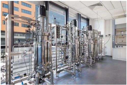 30萬億美元潛在市場 廣東軟件開發(fā)能否成為中國經濟增長新引擎？